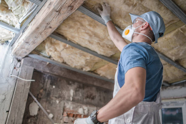 Best Eco-Friendly Insulation in Antioch, IL